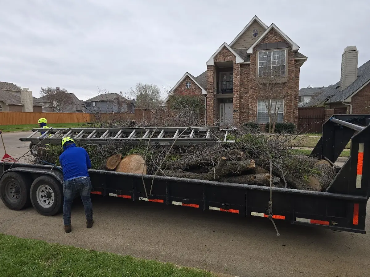 Expert Lot Clearing with proper safety equipment in Faribault